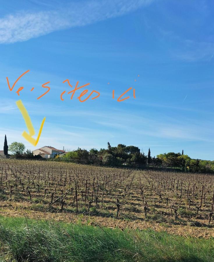 Gites A Moussan ,Domaine De La Barque A 5 Mins De Narbonne 外观 照片