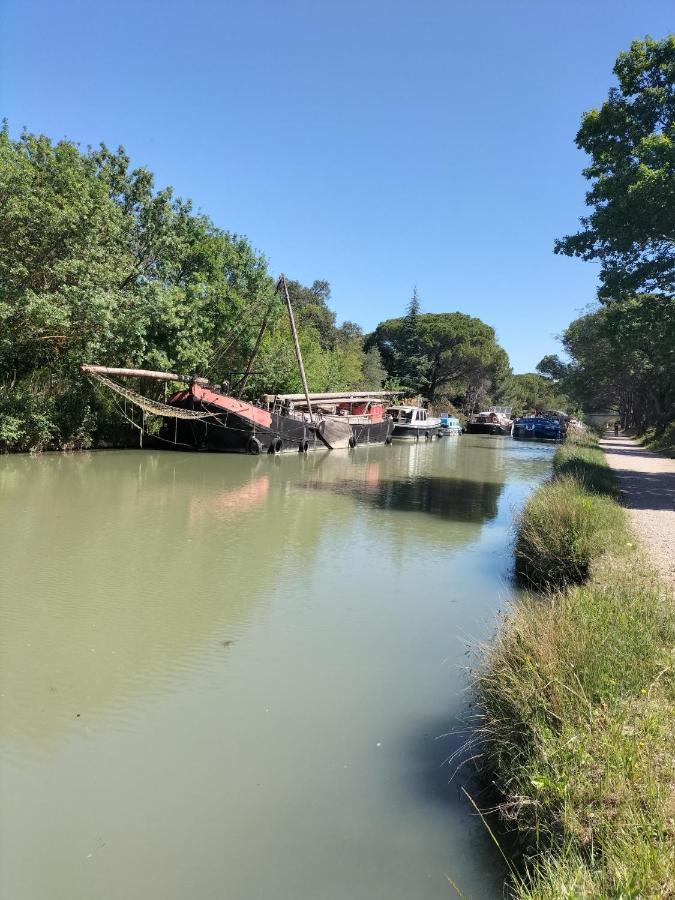 Gites A Moussan ,Domaine De La Barque A 5 Mins De Narbonne 外观 照片